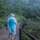 Parque Nacional Plitvice bajo la lluvia