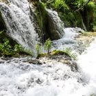 Parque Nacional Plitvice - Lagos menores