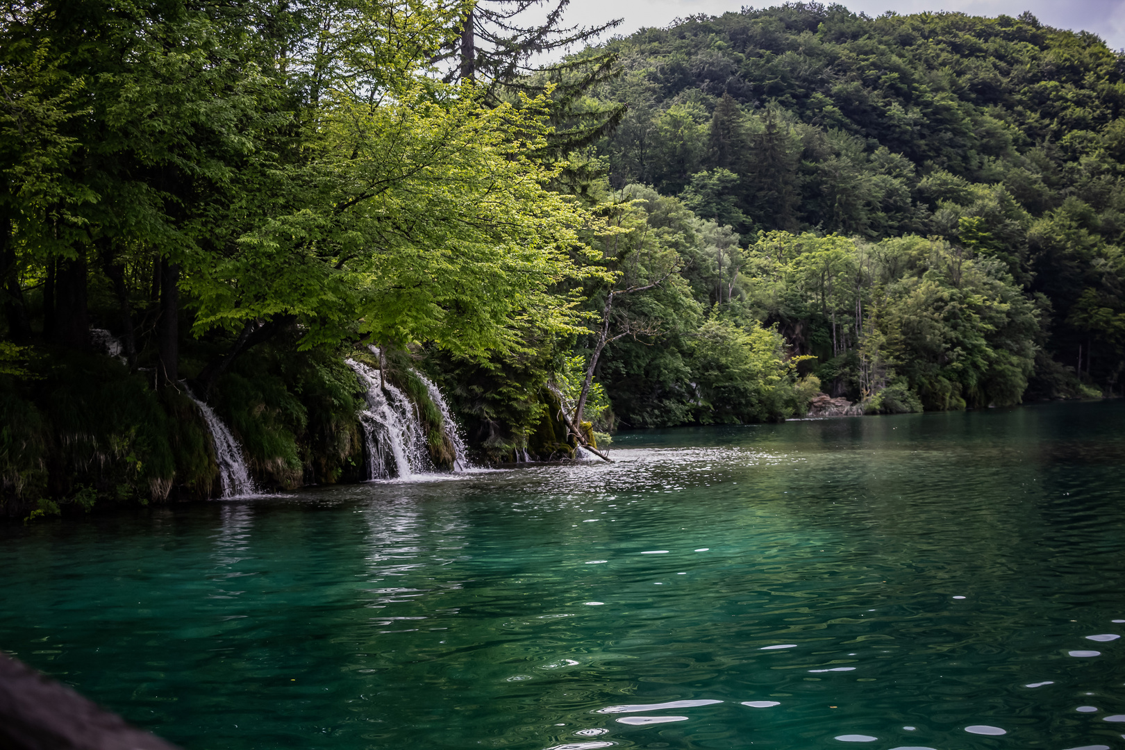 Parque Nacional Plivice XVIII