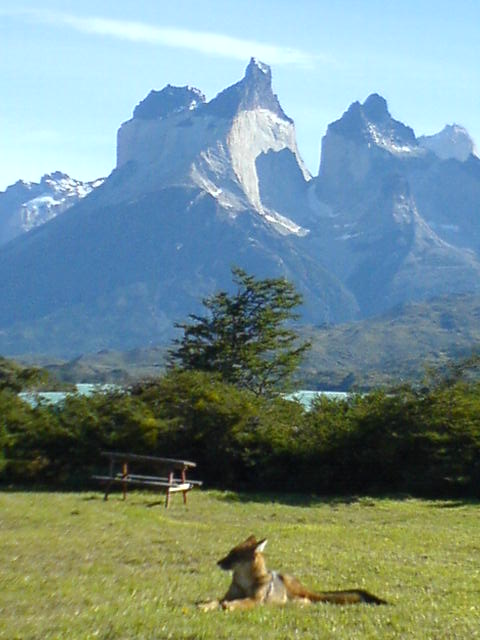 Parque Nacional Torres del Paine