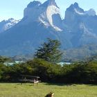 Parque Nacional Torres del Paine