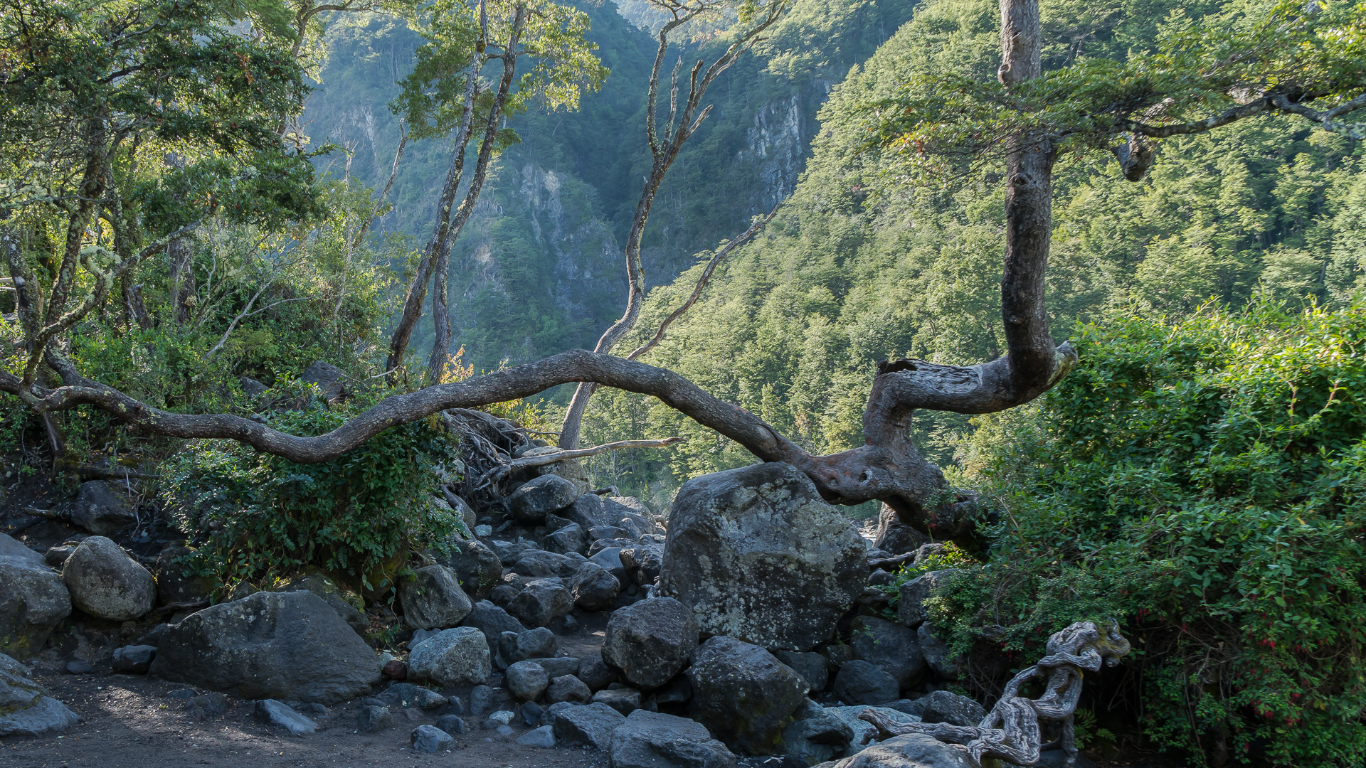 Parque Nacional Vicente Perez Rosales