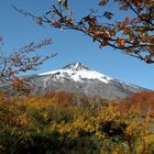 Parque Nacional Villarrica