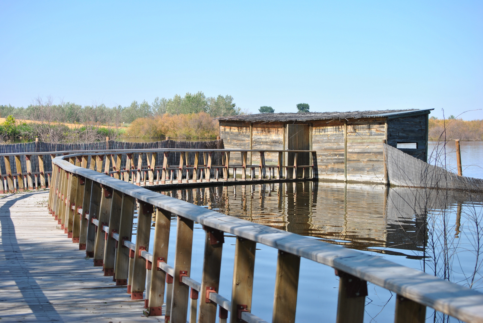 parque nacionas Tablas de Daimiel