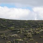 Parque National de Timanfaya 2