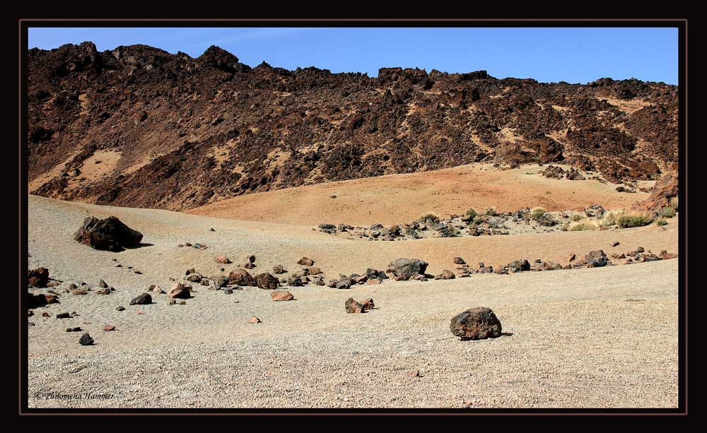 Parque National del Teide 12