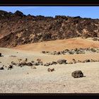 Parque National del Teide 12