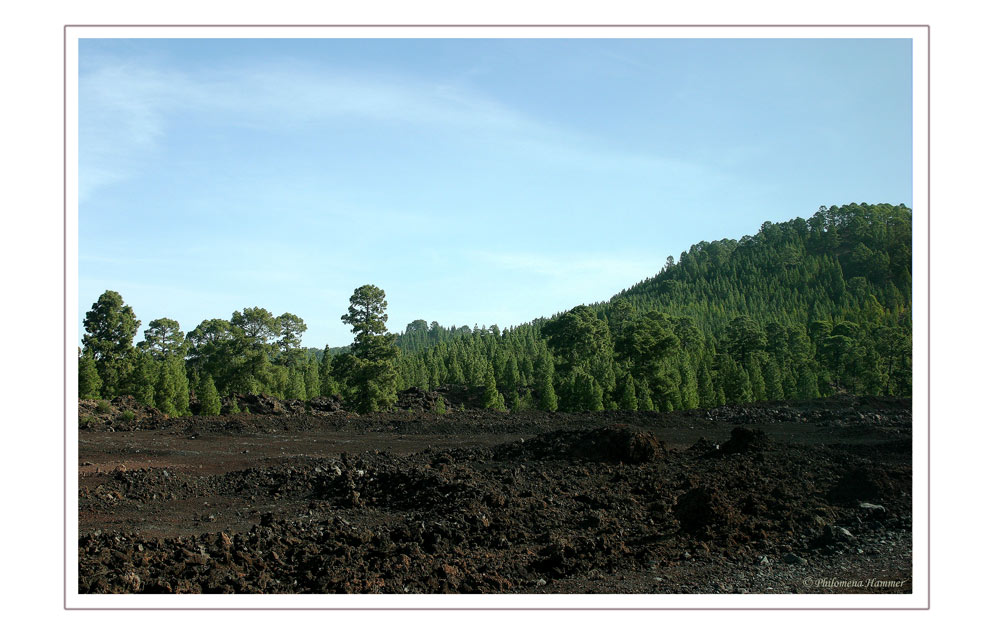 Parque National del Teide 2