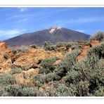 Parque National del Teide 6