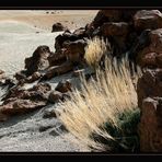 Parque National del Teide 8