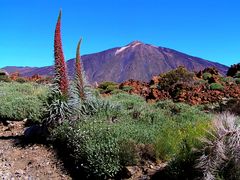 Parque National del Teide