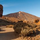 Parque Natural Corona Foresta / Teide