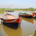 Parque Natural de Albufera