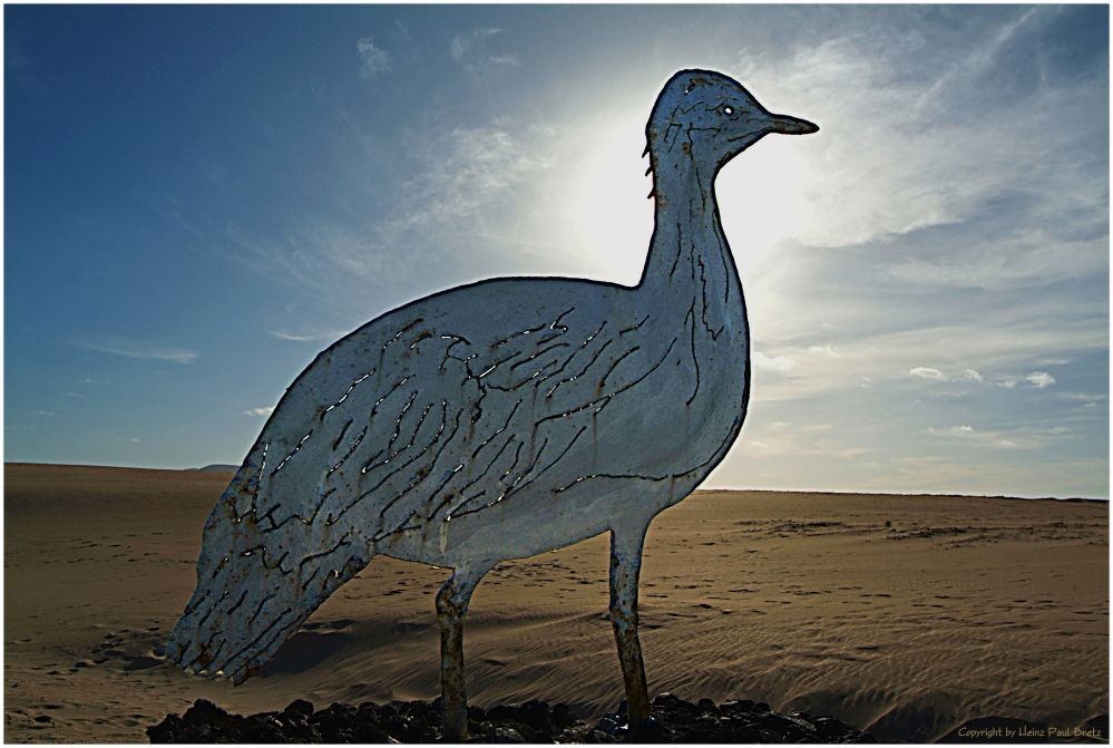 Parque Natural de Corralejo ²