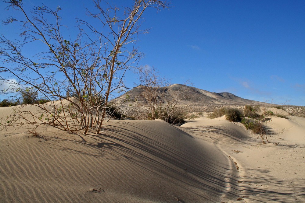 Parque Natural de Jandia