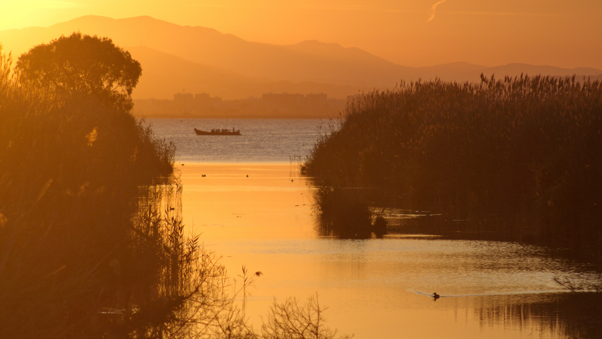 Parque Natural de la Albufera, Valencia