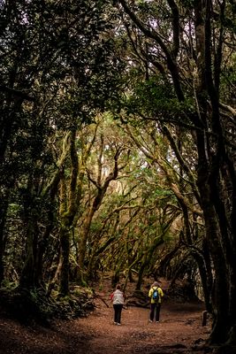 Parque natural de Onaga. Tenerife
