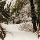 Parque natural de Urkiola: Dedicada a nuestra amiga ( María Franca )