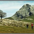 Parque natural del Gorbea 2