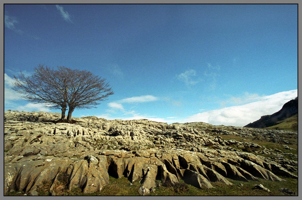 Parque natural del Gorbea 3