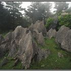 Parque natural del Gorbea 4