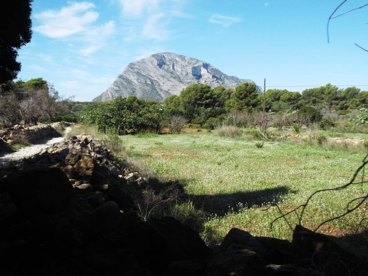 Parque natural del Macizo del Montgó en Valencia