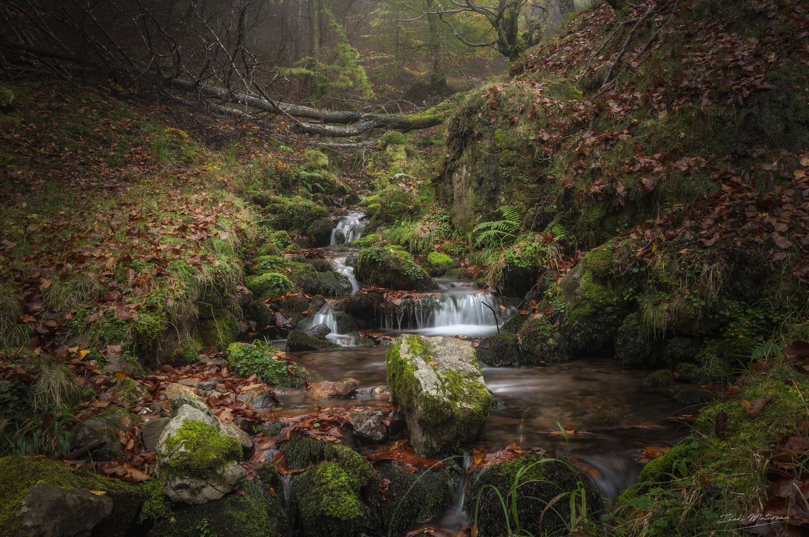 Parque Natural Gorbeia 