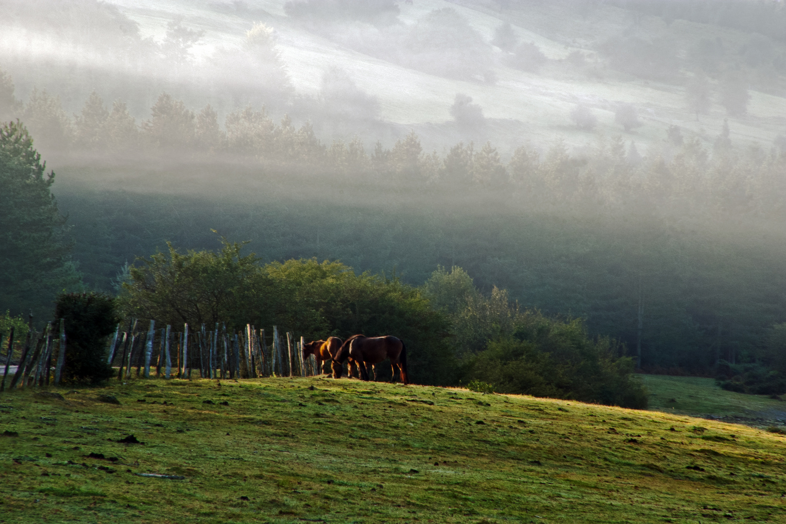 Parque Natural Gorbeia: 8´45 am.