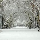 Parque Nevado (Albacete)