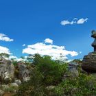 Parque Pedra do Castelo - Area de Pedra - Piauí