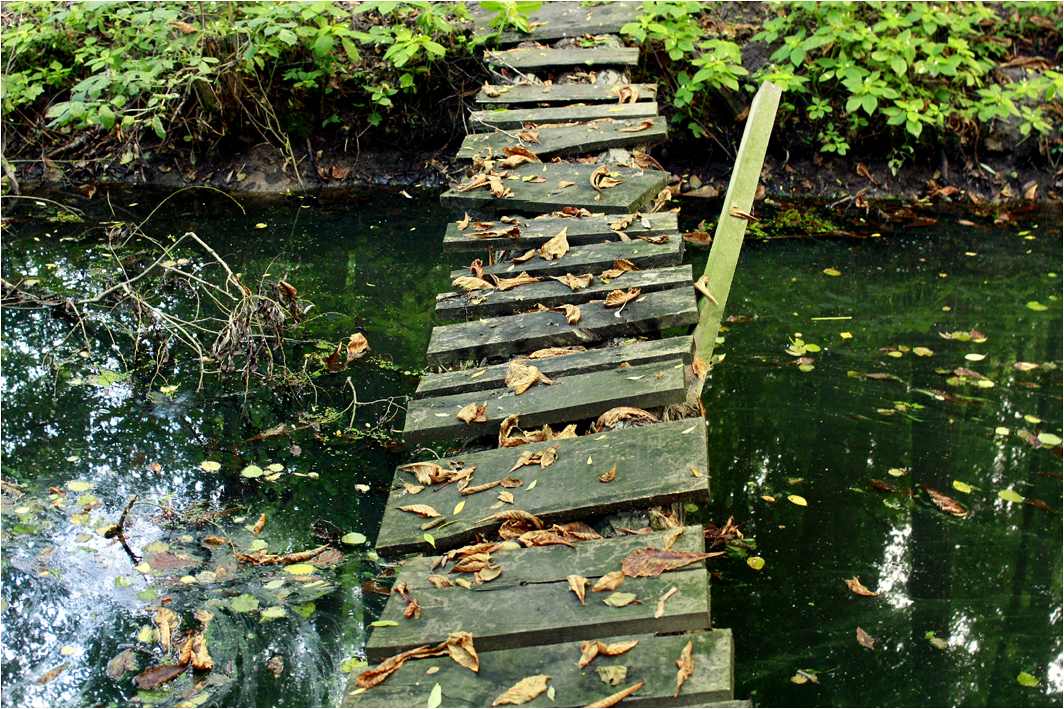 Parque protegido del valle del río Barycz.