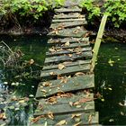 Parque protegido del valle del río Barycz.