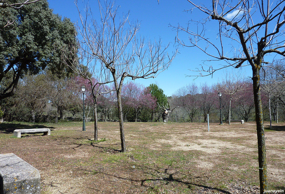 Parque rústico