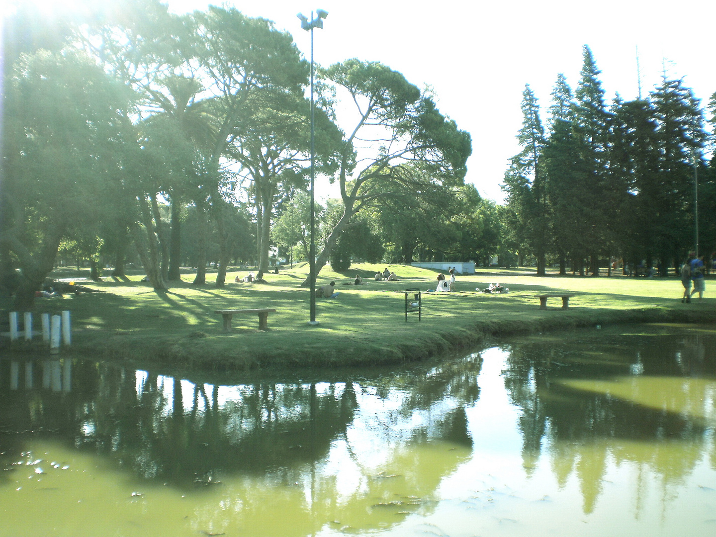 Parque Saavedra La Plata