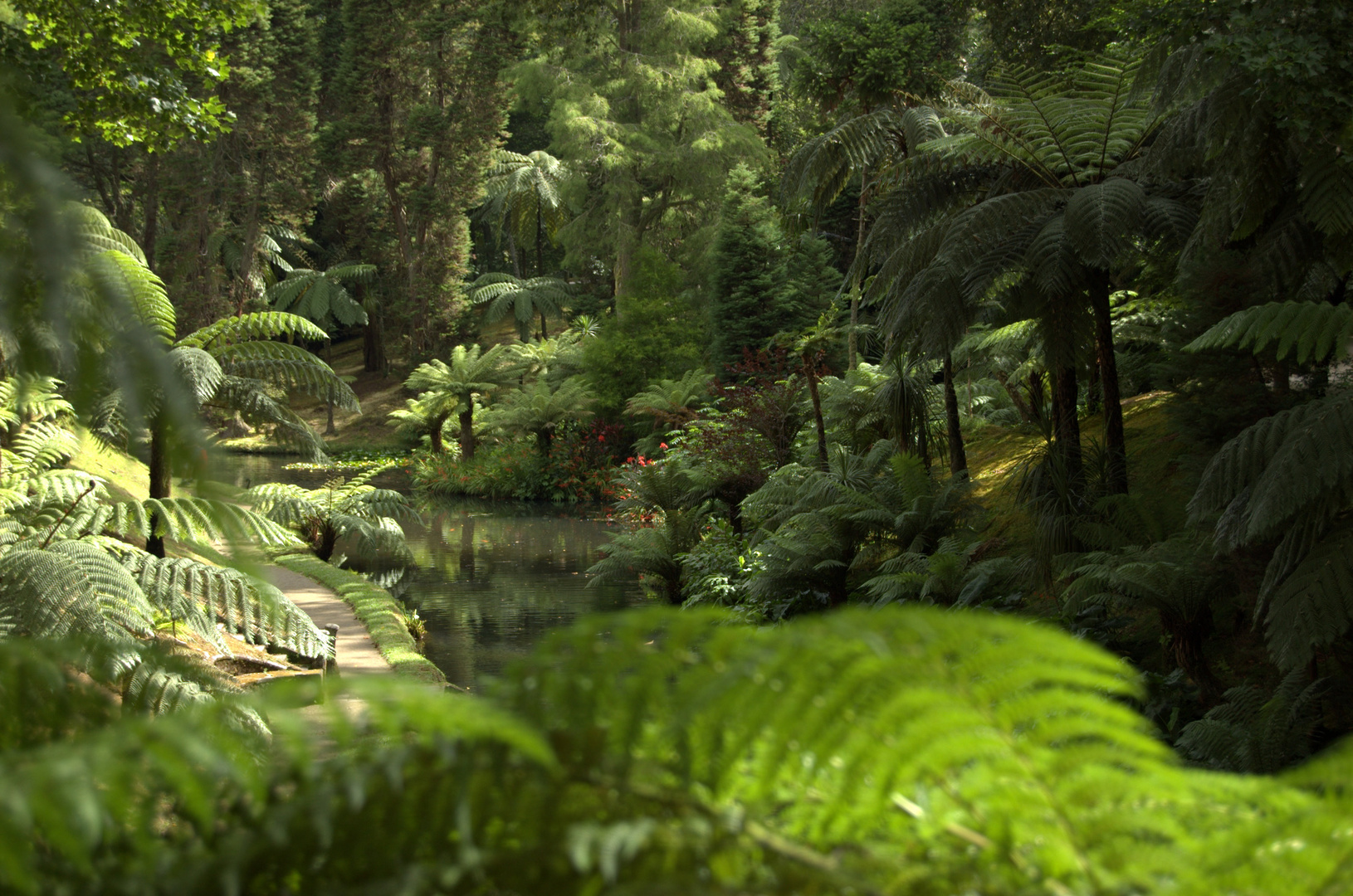 Parque Terra Nostra, Furnas