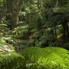 Parque Terra Nostra, Furnas