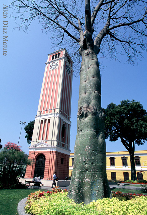 Parque Universitario