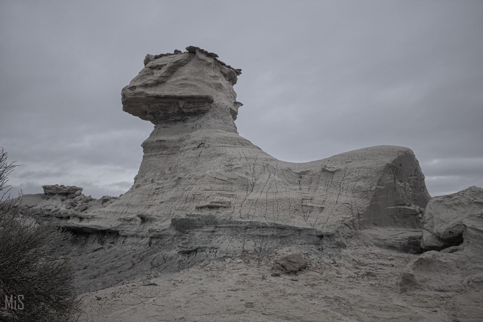 Parque Valle de La Luna - Triasico Superior