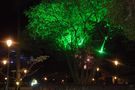 Parques iluminados de Alf Ariza 