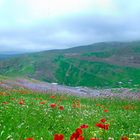 Part of Paradise - Asalem Road (Iran)