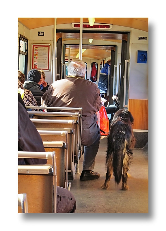 part of the  story... "Man's best friend" fahrt mit