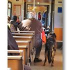 part of the <picture> story... "Man's best friend" fahrt mit