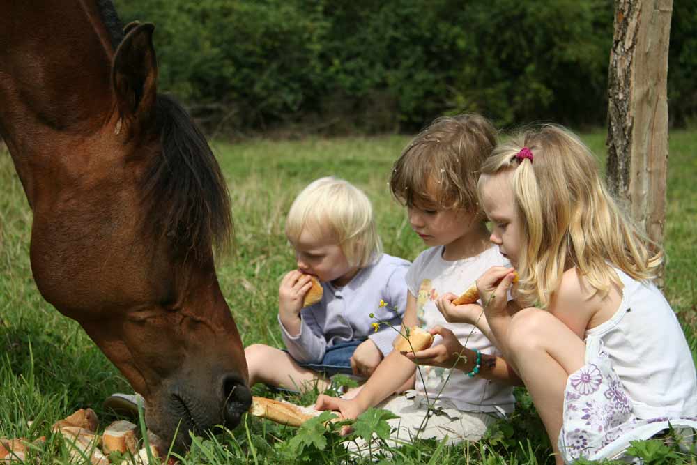 Partage de repas!