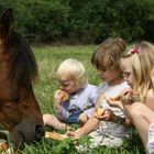 Partage de repas!