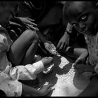 Partage des graines tombées pendant la distribution par les orphelins n'ayant rien reçu