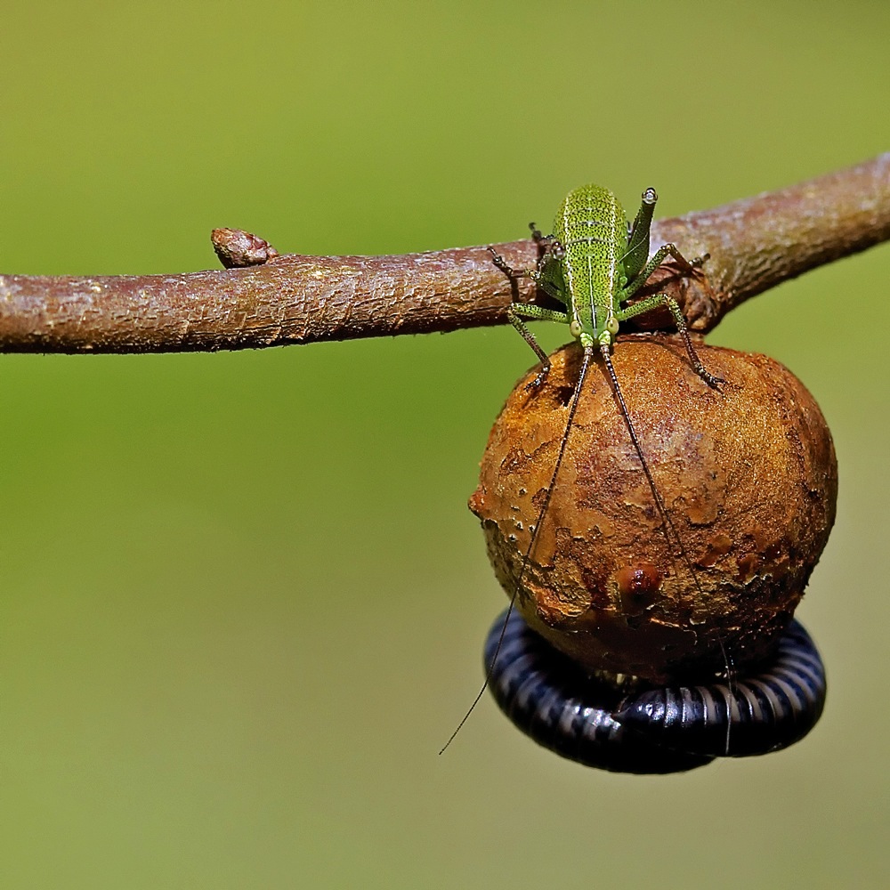 Partage d'une petite planète pour un moment de repos.