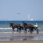 Partageons le sable