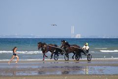 Partageons le sable