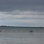 Partager la mer, mère porteuse....