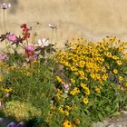 parterre de fleurs